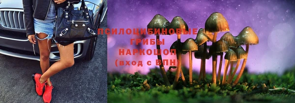 не бодяженный Арсеньев