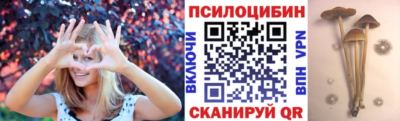 Галлюциногенные грибы Psilocybine cubensis Унеча